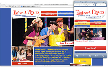 performing arts website