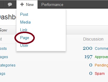 Adding Pages to Your WP Site