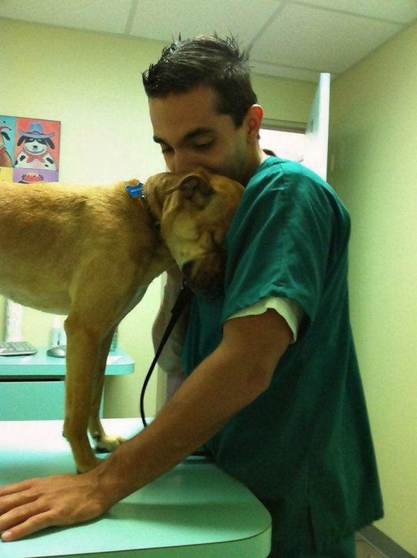 veterinarian's office website