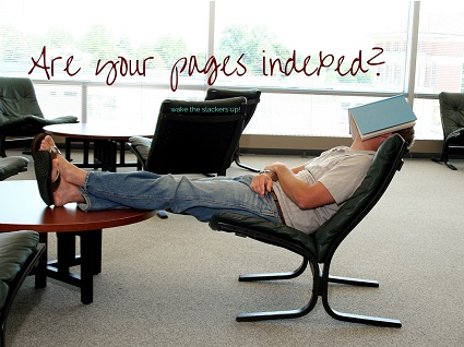 Are Your Pages Indexed?