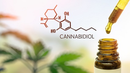 Laws about CBD Websites