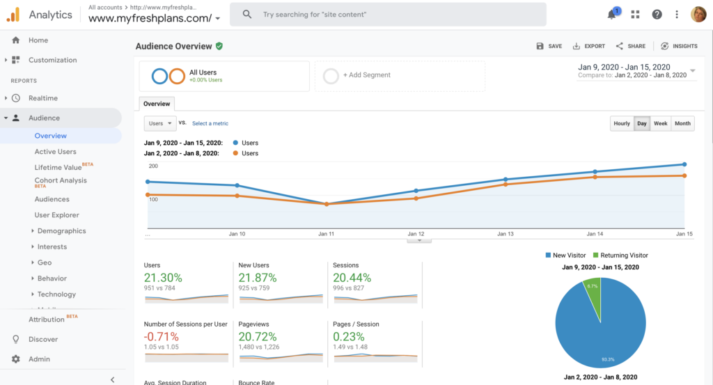 audience overview report