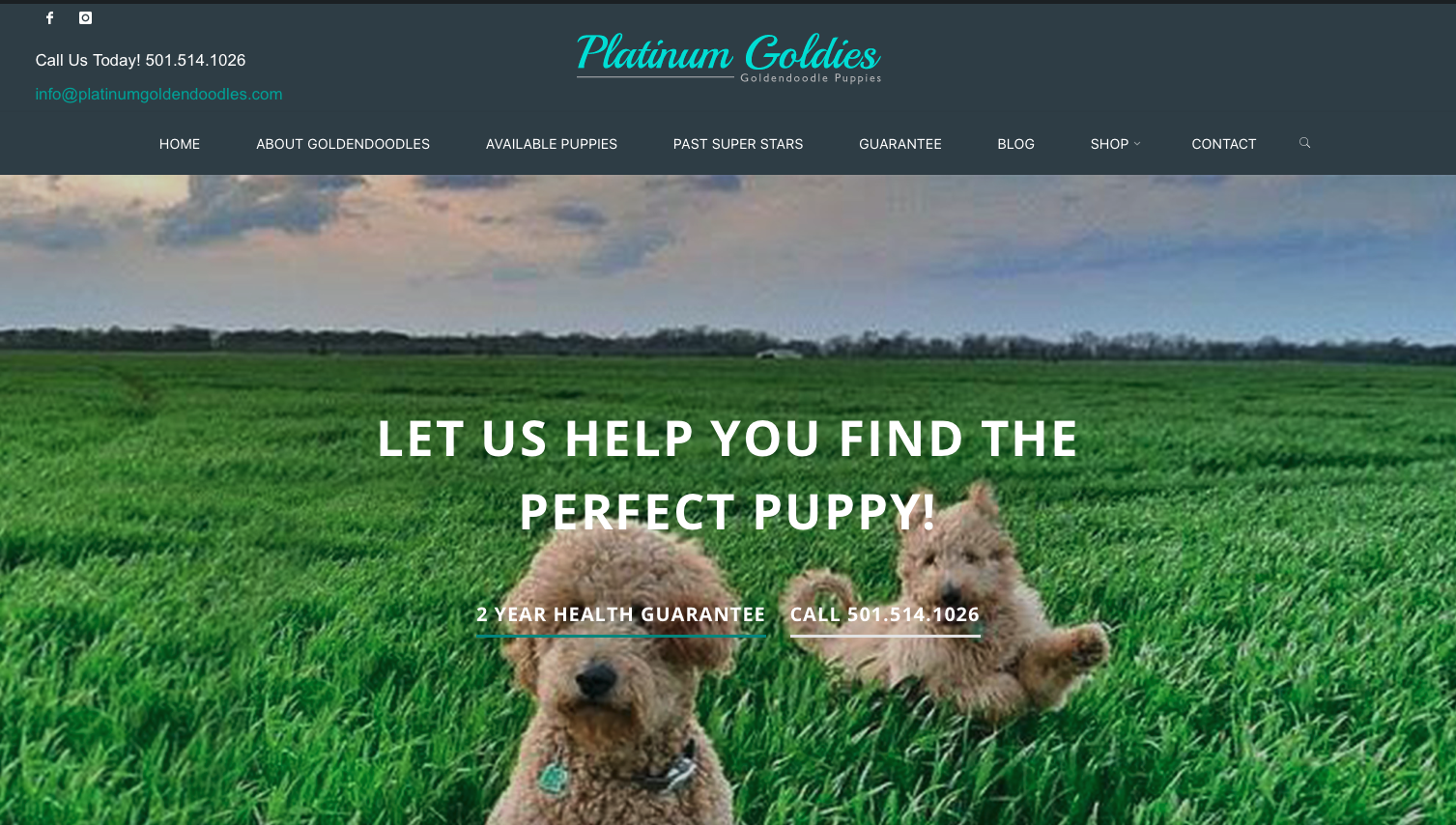 Platinum Goldendoodles