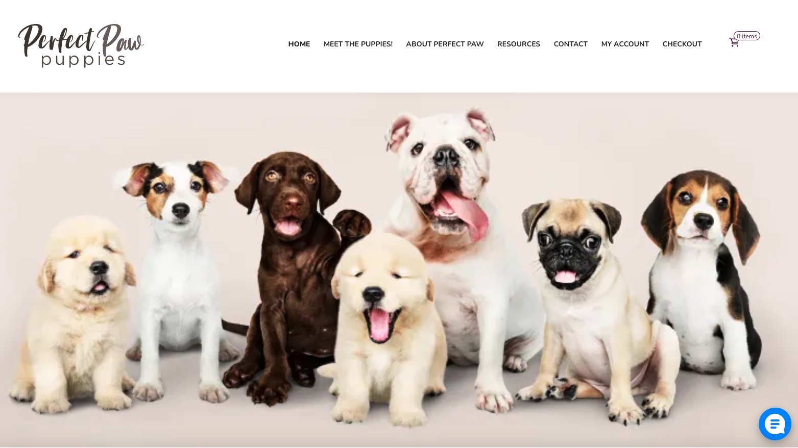 Perfect Paw Puppies