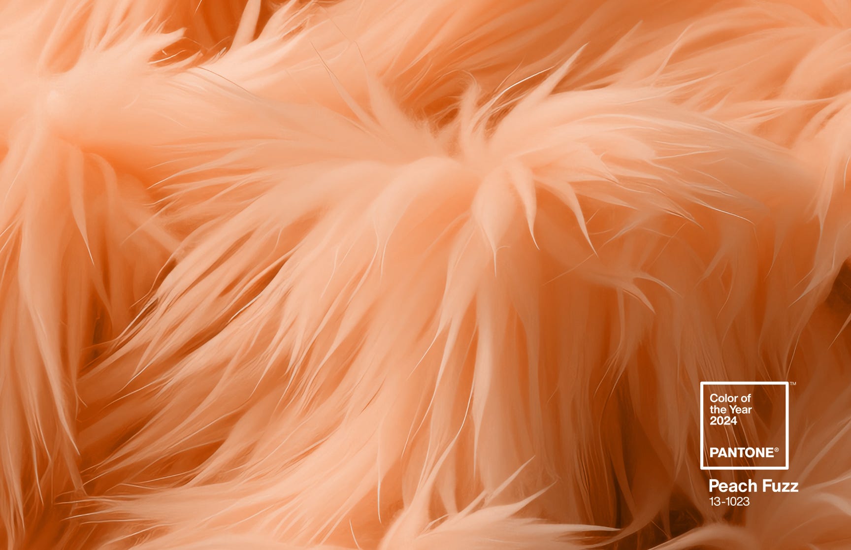 Pantone's Color of the Year 2024: Peach Fuzz - Haden Interactive